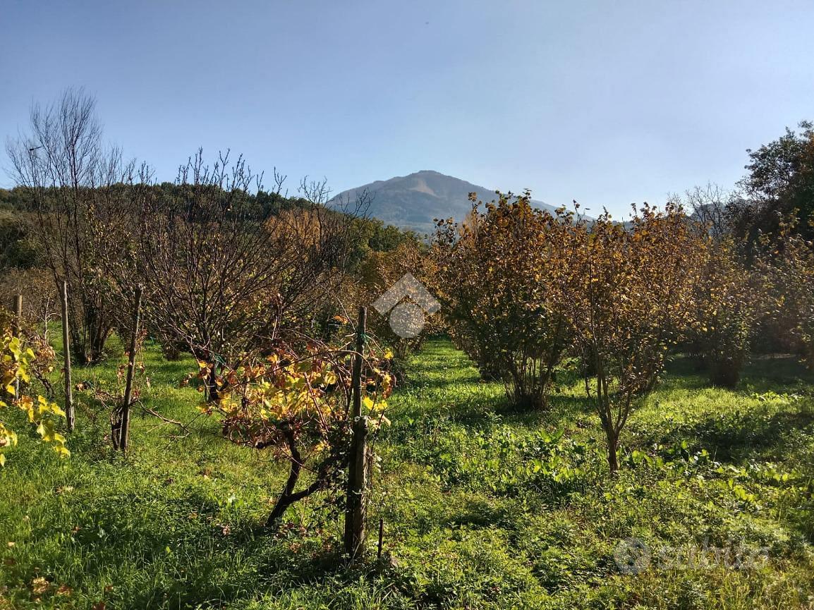 TER. AGRICOLO A SAN POTITO ULTRA - Vista 3