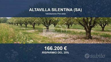 Immobile in asta di 57330 m² a Altavilla Silentina