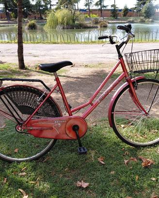 Bicicletta tipo Olanda