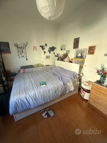 Camera in Bolognina