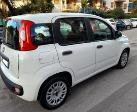 FIAT PANDA 1.3 MULTIJET 95CV ANNO 2016 GARANZIA 1 