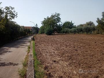 Terreno Edificabile