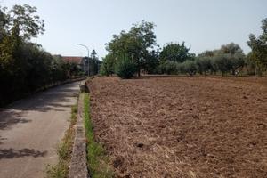 Terreno Edificabile