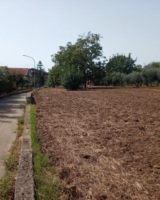 Terreno Edificabile