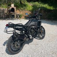Yamaha Ténéré 700 - 2022