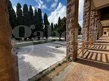 Negozio Carbonia [Cod. rif 3228866ACG]