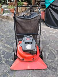 Aspirafoglie 4 tempi