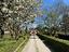 Immagine 27