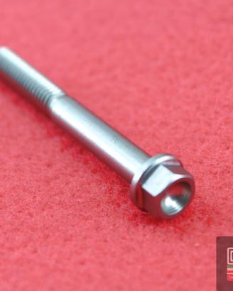 Vite titanio NCR testa esagono flangiata M6x50 Pas