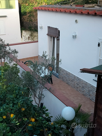 La casetta dei limoni