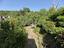 Immagine 23