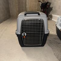 Kennel caravan pet around you