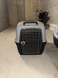 Kennel caravan pet around you