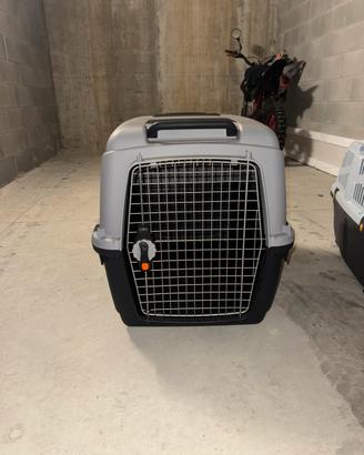 Kennel caravan pet around you