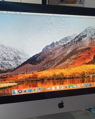 iMac A1311 21.5 pollici