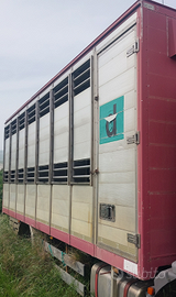 Cassa trasporto animali vivi