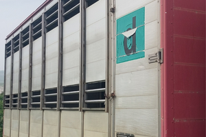 Cassa trasporto animali vivi