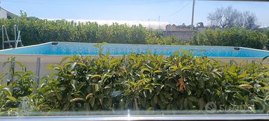 piscina fuori terra 