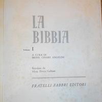 Bibbia illustrata