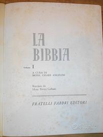 Bibbia illustrata