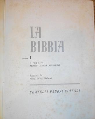 Bibbia illustrata