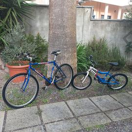Biciclette MTB bambino e adulto 