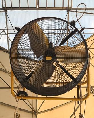 ventilatore df30p master