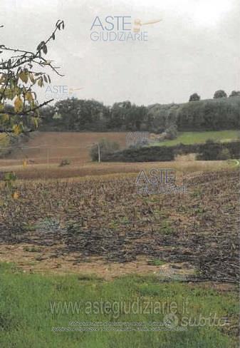 Subito Aste Giudiziarie Inlinea Terreno Agricolo Rosciano