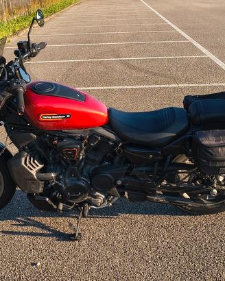 Harley Davidson nightster 975 special 2026