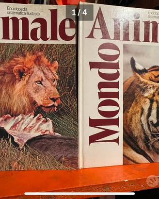 Collezione animali ideale per bambini