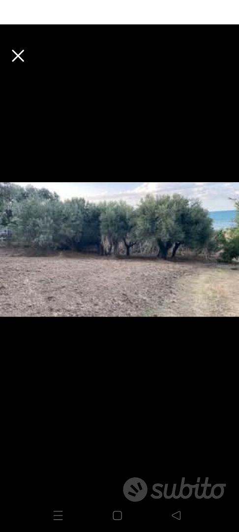 Terreno AGRICOLO fronte vista mare - Vista 5