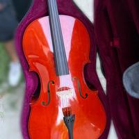 Violoncello 4/4