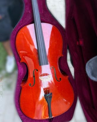 Violoncello 4/4