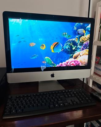 apple mc