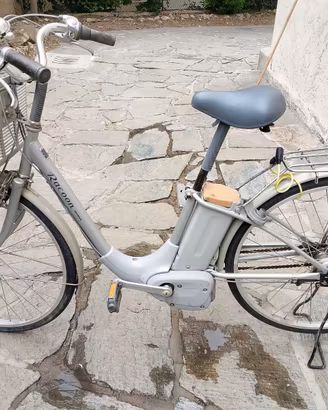 Bicicletta Elettrica