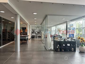 Negozio Livorno [402/BACG]