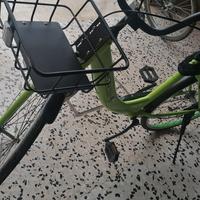 bicicletta da adulto verde e nero 