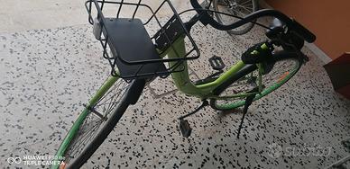 bicicletta da adulto verde e nero 