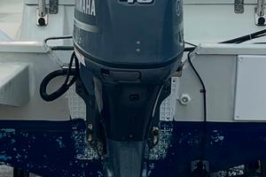 Motore fuoribordo yamaha F40GETL