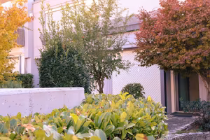 Villa con giardino e capannone/laboratorio h 6 m