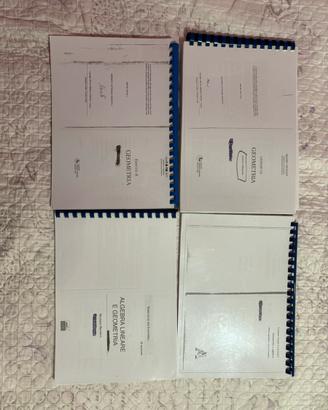 Libri algebra e geometria