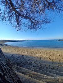 Castiglioncello 100 m dal mare