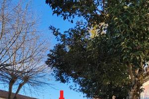 Immobile Cercemaggiore (CB) centro