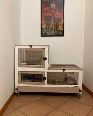 Conigliera da interno