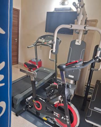  Palestea  completa da camera