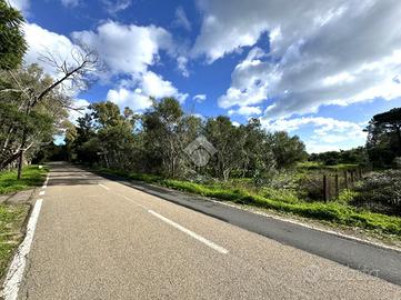 TER. AGRICOLO A MURAVERA