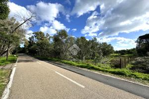 TER. AGRICOLO A MURAVERA