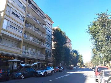 Monteverde - attivita' di bar