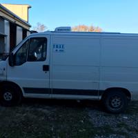Fiat Ducato coibentato