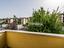 Immagine 23